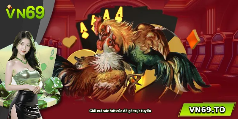 Giải mã sức hút của đá gà trực tuyến