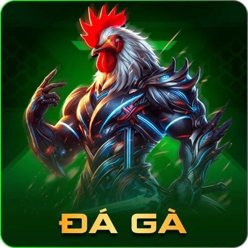 Sảnh Đá Gà VN69