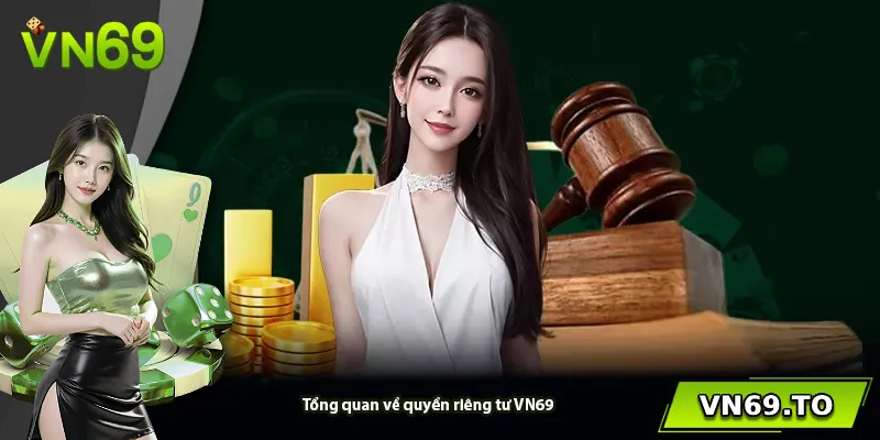 Tổng quan về quyền riêng tư VN69