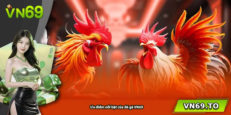 Ưu điểm nổi bật của đá gà VN69